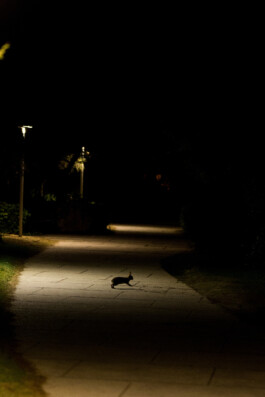  Michael Kuchinke-Hofer