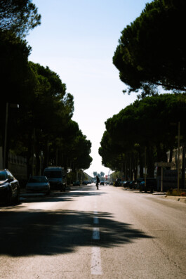  Michael Kuchinke-Hofer