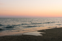  Michael Kuchinke-Hofer