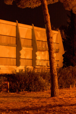  Michael Kuchinke-Hofer