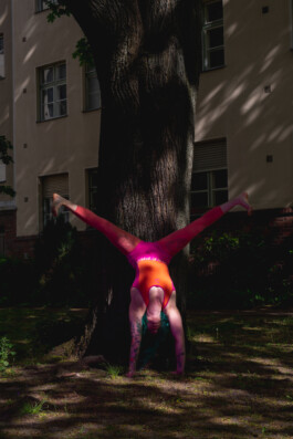  Michael Kuchinke-Hofer