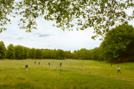  Michael Kuchinke-Hofer