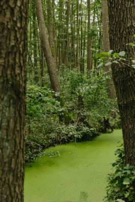  Michael Kuchinke-Hofer