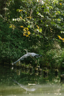  Michael Kuchinke-Hofer