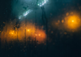  Michael Kuchinke-Hofer